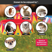 Load image into Gallery viewer, HayPigs!® Food Craving Tamer™ - Small Animal Food Bowl - Recommended Species