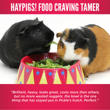 Load image into Gallery viewer, HayPigs!® Food Craving Tamer™ - Food Bowl