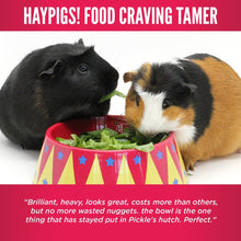 Load image into Gallery viewer, HayPigs!® Food Craving Tamer™ - Small Animal Food Bowl - Review