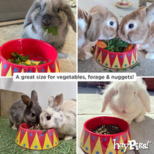 Load image into Gallery viewer, HayPigs!® Food Craving Tamer™ - Small Animal Food Bowl - For Rabbits