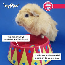 Load image into Gallery viewer, HayPigs!® Food Craving Tamer™ - Small Animal Food Bowl - Top-proof Bowl
