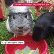 Load image into Gallery viewer, HayPigs!® Food Craving Tamer™ - Food Bowl