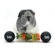 Load image into Gallery viewer, HayPigs!® Piggy Weightlifter™ - Vegetable Kebab Maker