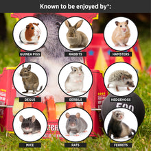 Load image into Gallery viewer, HayPigs!® Piggy Weightlifter™ - Vegetable Kebab Maker