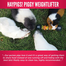 Load image into Gallery viewer, HayPigs!® Piggy Weightlifter™ - Vegetable Kebab Maker