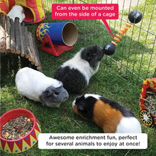 Load image into Gallery viewer, HayPigs!® Piggy Weightlifter™ - Vegetable Kebab Maker