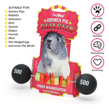 Load image into Gallery viewer, HayPigs!® Piggy Weightlifter™ - Vegetable Kebab Maker