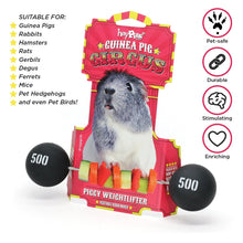 Load image into Gallery viewer, HayPigs!® Piggy Weightlifter™ - Vegetable Kebab Maker