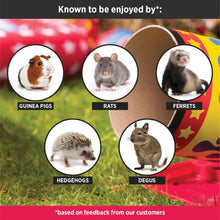 Load image into Gallery viewer, HayPigs!® Cavy Cannonball™ - Tilting Tunnel