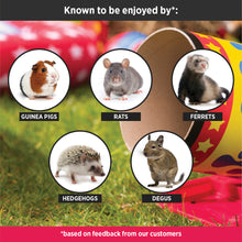 Load image into Gallery viewer, HayPigs!® Cavy Cannonball™ - Tilting Tunnel
