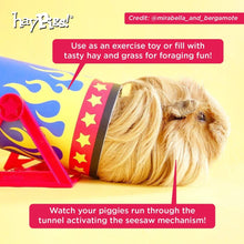 Load image into Gallery viewer, HayPigs!® Cavy Cannonball™ - Tilting Tunnel