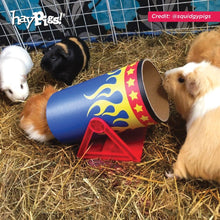 Load image into Gallery viewer, HayPigs!® Cavy Cannonball™ - Tilting Tunnel