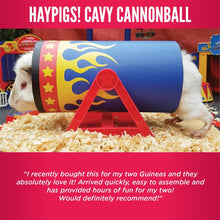 Load image into Gallery viewer, HayPigs!® Cavy Cannonball™ - Tilting Tunnel