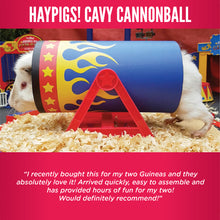 Load image into Gallery viewer, HayPigs!® Cavy Cannonball™ - Tilting Tunnel