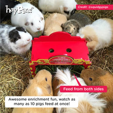 Load image into Gallery viewer, BUNDLE OFFER: The HayPigs!® Guinea Pig Circus™ range - FEEDING SET