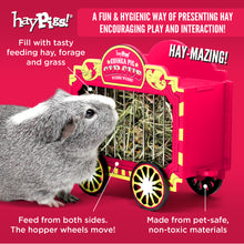 Load image into Gallery viewer, BUNDLE OFFER: The HayPigs!® Guinea Pig Circus™ range - FEEDING SET