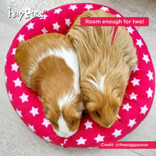 Load image into Gallery viewer, HayPigs!® Piggy Crash Mat™ - Fleece Bed
