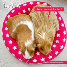 Load image into Gallery viewer, HayPigs!® Piggy Crash Mat™ - Fleece Bed