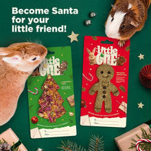 Load image into Gallery viewer, Little One Christmas Tree (for Guinea Pigs and Rabbits) 65g
