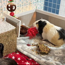 Load image into Gallery viewer, Rosewood Cupid & Comet Hanging Loofa Pudding Garland