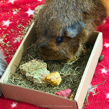 Load image into Gallery viewer, Rosewood Naturals Festive Cookies Forage Treat Tray