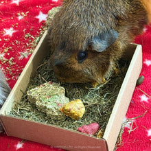 Load image into Gallery viewer, Rosewood Naturals Festive Cookies Forage Treat Tray