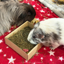 Load image into Gallery viewer, Rosewood Naturals Festive Cookies Forage Treat Tray