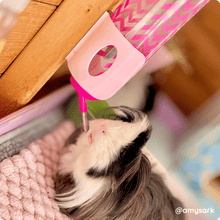 Load image into Gallery viewer, Water Bottle Holder - Large (600ml)