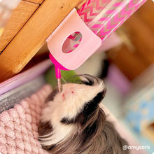 Load image into Gallery viewer, Buttercup Pet Products Water Bottle Holder - Midi (320ml)