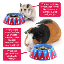 Load image into Gallery viewer, BUNDLE OFFER: The HayPigs!® Guinea Pig Circus™ range - FEEDING SET