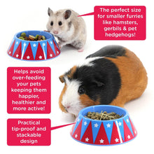 Load image into Gallery viewer, BUNDLE OFFER: The HayPigs!® Guinea Pig Circus™ range - FEEDING SET