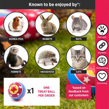 Load image into Gallery viewer, HayPigs!® Circus Treat Ball™ - 3-in-1 Enrichment Toy