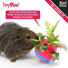 Load image into Gallery viewer, HayPigs!® Circus Treat Ball™ - 3-in-1 Enrichment Toy