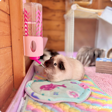 Load image into Gallery viewer, Buttercup Pet Products Water Bottle Holder - Midi (320ml)