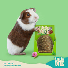 Load image into Gallery viewer, Little One Tasty Bluebell Treat Toy 150g