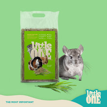 Load image into Gallery viewer, Little One Mountain Hay (not pressed) 400g or 1kg
