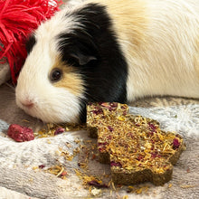Load image into Gallery viewer, Little One Christmas Tree (for Guinea Pigs and Rabbits) 65g