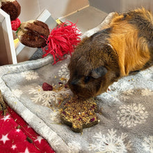 Load image into Gallery viewer, Little One Christmas Tree (for Guinea Pigs and Rabbits) 65g