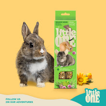 Load image into Gallery viewer, Little One Sticks with Meadow Grass (2 Pack)