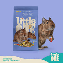 Load image into Gallery viewer, Little One Feed for Degus 400g