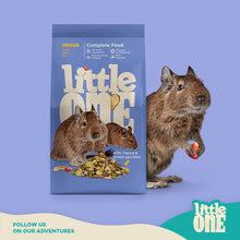 Load image into Gallery viewer, Little One Feed for Degus 400g
