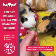 Load image into Gallery viewer, HayPigs!® Piggy Nom Noms™ - Blueberry & Basil 70g