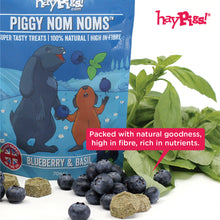 Load image into Gallery viewer, HayPigs!® Piggy Nom Noms™ - Blueberry &amp; Basil 70g
