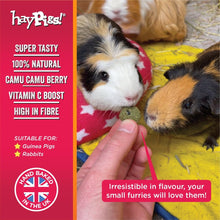 Load image into Gallery viewer, HayPigs!® Piggy Nom Noms™ - Carrot & Coriander 70g