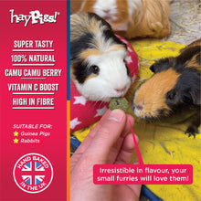 Load image into Gallery viewer, BUNDLE: HayPigs!® Piggy Nom Noms™ - Variety Pack (2pk)