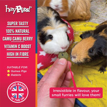 Load image into Gallery viewer, BUNDLE: HayPigs!® Piggy Nom Noms™ - Variety Pack (2pk)