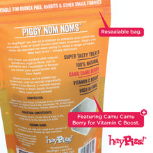 Load image into Gallery viewer, BUNDLE: HayPigs!® Piggy Nom Noms™ - Variety Pack (2pk)