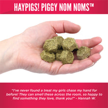 Load image into Gallery viewer, BUNDLE: HayPigs!® Piggy Nom Noms™ - Variety Pack (2pk)