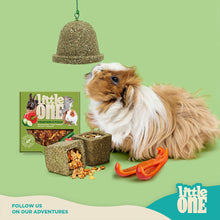 Load image into Gallery viewer, Little One Tasty Bluebell Treat Toy 150g