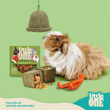 Load image into Gallery viewer, Little One Tasty Bluebell Treat Toy 150g